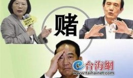 台海最新爆料新闻,最新爆料揭示关键转折点